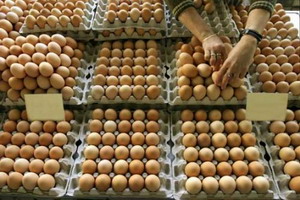 90% din ouăle din România conţin hormoni de creştere