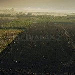 CE recomandă României şi Bulgariei să permită cetăţenilor din UE achiziţia de terenuri agricole