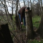 Zemes: Doi barbati sunt cercetați pentru tăiere ilegală de arbori