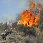 Pompierii băcăuani, angrenaţi în stingerea incendiului de litieră din comuna Agăş