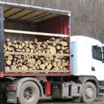 Transporta ilegal 10 m.c. material lemnos