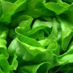 Salata verde te scapa de  kilogramele in plus, insomnii, constipatie