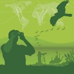 Ziua Mondială a Păsărilor Migratoare