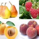 Beneficiile fructelor de vara