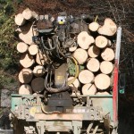 Transporta material lemnos fără documente legale de provenienţă