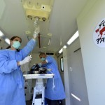 Sondaj: Sterilizarea și înregistrarea câinilor, prea costisitoare pentru români