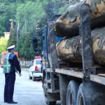 Acțiune de verificare a legalității transportului de material lemnos
