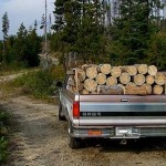 Cercetaţi pentru transport de material lemnos fără documente legale