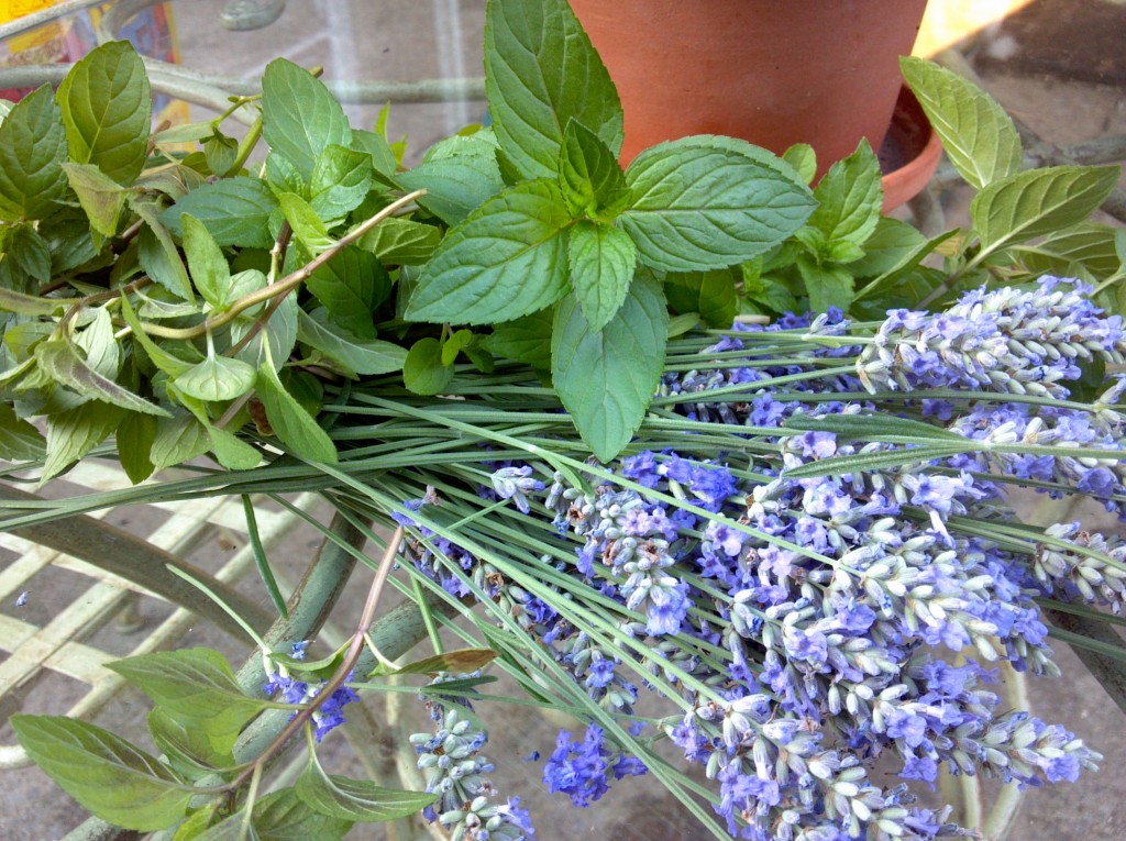 lavender-and-mint