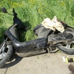 Moped rasturnat de un caine!