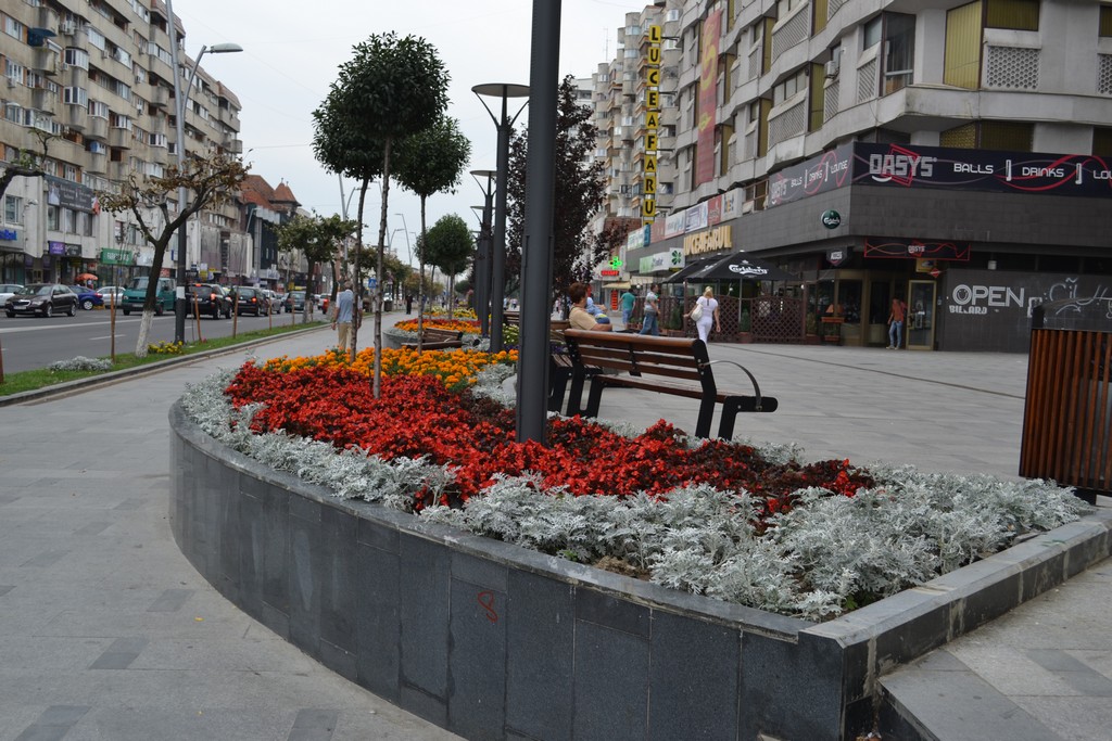 flori centrul municipiului Bacau