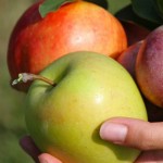 Beneficiile merelor: de ce să le consumi în fiecare zi!