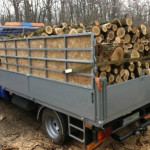 Transport ilegal de material lemnos cercetat de polițiști