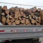 Cercetat de poliţişti pentru transport ilegal de material lemnos