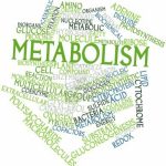 9 modalităţi pentru a-ţi accelera metabolismul