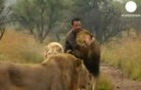 Îmbraţişarea leilor