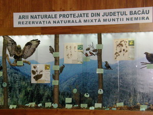 Cultura, informatie si educatie prin expozitii „Rezervatia Naturala Muntii Nemira”