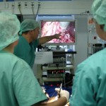 129 studenti de la Medicina veterinara fac practica la Bacau