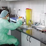 Laborator Sanitar Veterinar autorizat in Bacau