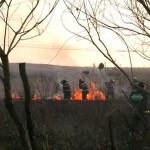 Incendiu de vegetație uscată în comuna Mănăstirea Cașin