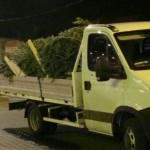 Depistat în timp ce transporta pomi de Crăciun nemarcaţi şi fără documente legale