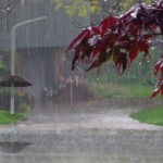 Avertizarea meteorologilor: Cod portocaliu de ploi în 8 judeţe