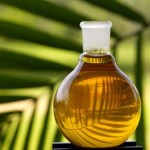 Ulei de palmier – beneficii și dezavantaje