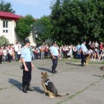 Exerciţii demonstrative cu câini de serviciu  la Şcoala „Alexandru Şafran”
