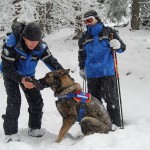 Câinii salvatori – ajutor de nădejde al jandarmilor montani  în salvarea vieților oamenilor