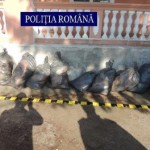 Transporta 260 de kilograme de pește pentru care nu deținea documente legale