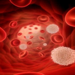 Leucocite (celule albe) mărite în sânge: cum se manifestă şi care sunt bolile ce cauzează această problemă