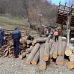 Material lemnos confiscat de poliţişti